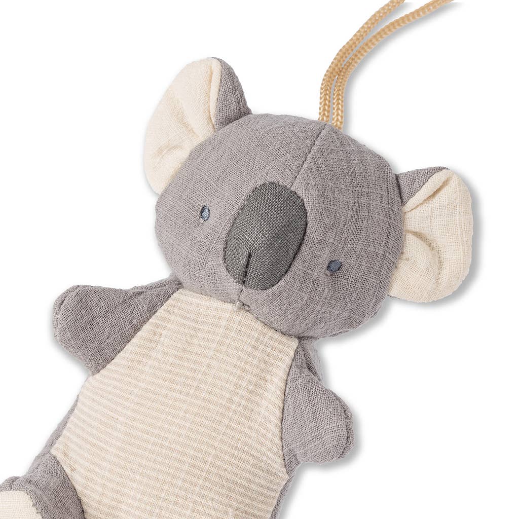Pacifier & Plush