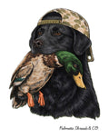 PT&CO Duck TS