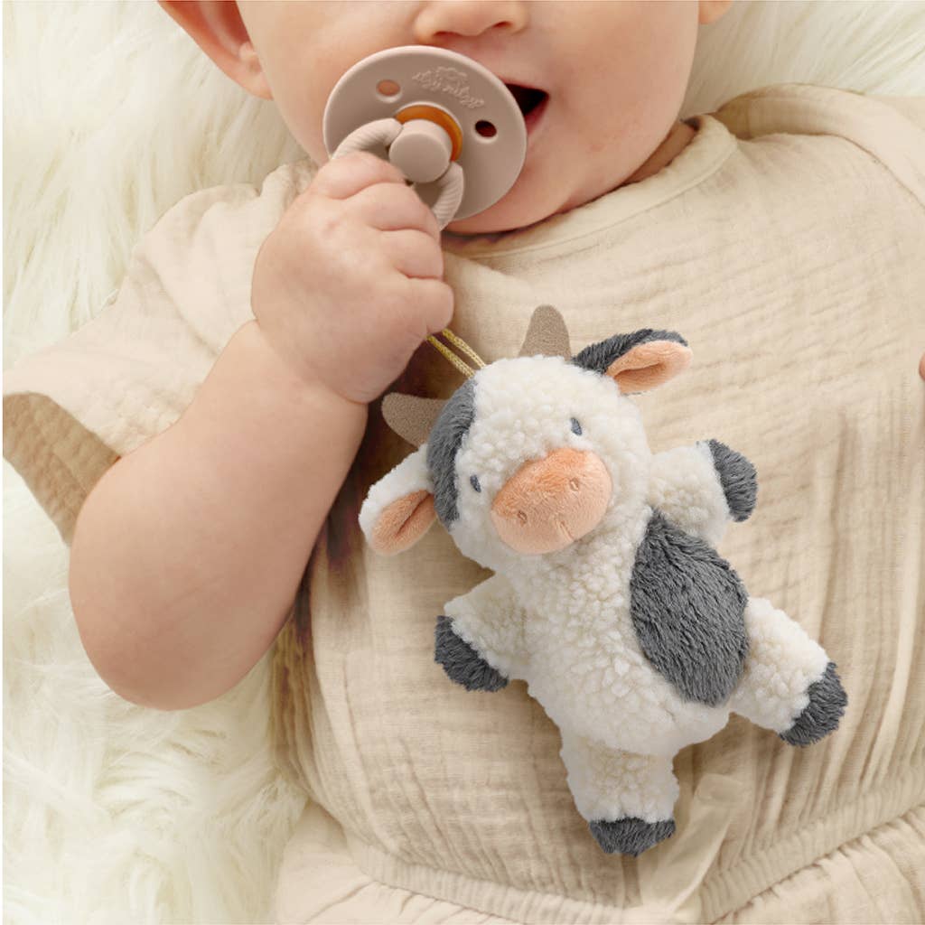 Pacifier & Plush