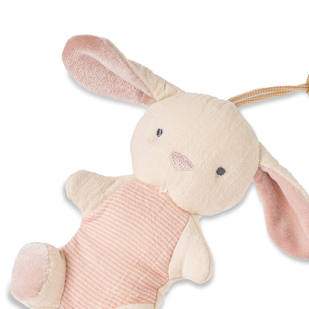 Pacifier & Plush