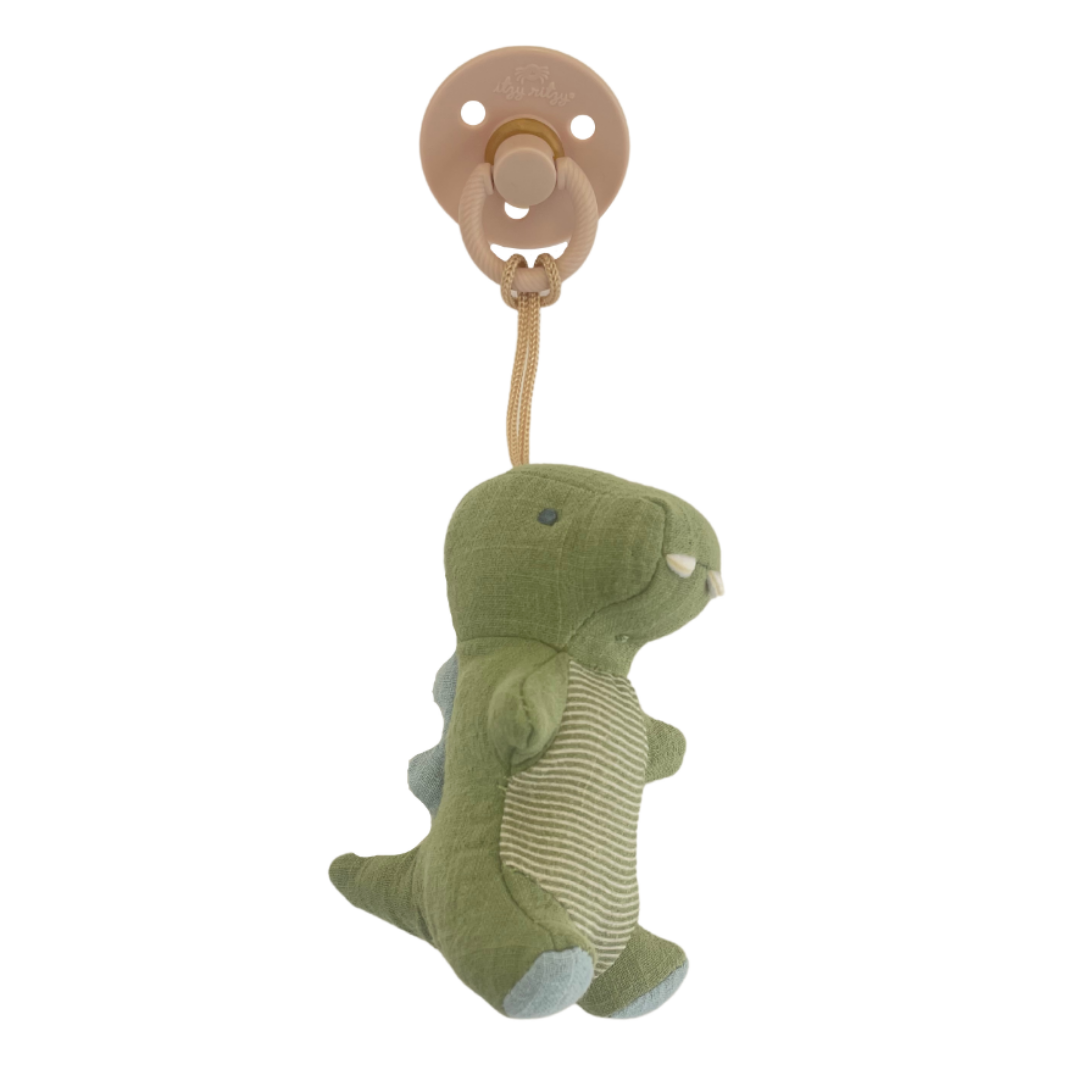 Pacifier & Plush
