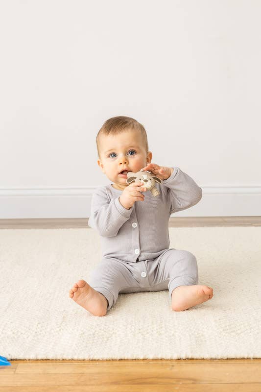 Puppy Teether